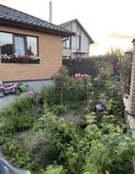 ������ 1 ����������� ������� � ������� �� 4.5 ����� ���� 4