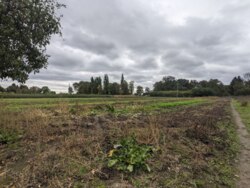 Продається одноповерховий будинок з великою земельною ділянкою! фото 21 Продається одноповерховий будинок з великою земельною ділянкою! фото 21