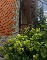 ��������� ������� � ��������� ���� 50