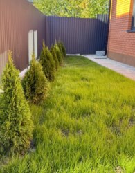 ������ 1 ����������� ������� � �������� � ������� �� 5 ����� ���� 4