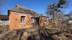 ������ ������� � ������� ������� � ������ ����������� ���� 9