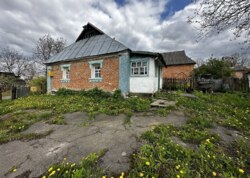 ������ ������� � ��� �������, �� 15 �� ���� �� ���� �� ���� ³����� ���� 14