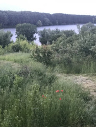 ��������� ��������� �������. ���� ������. ���� 12