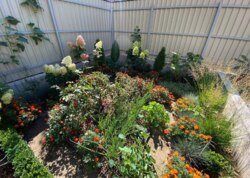 ������ 2 ����������� ������� � ��������� � ������� �� 4 ����� ���� 42