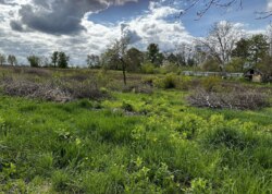 ������ ������� � ��� �������, �� 15 �� ���� �� ���� �� ���� ³����� ���� 13