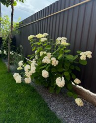 Продаж 2 поверхового дуплекса з ділянкою на 3.7 сотки фото 10 Продаж 2 поверхового дуплекса з ділянкою на 3.7 сотки фото 10