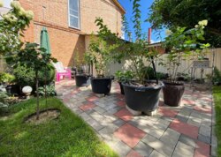 ������ 2 ����������� ������� � ��������� � ������� �� 4 ����� ���� 19