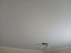 ��������� ������� ³�������, ³��������, ������ ���� 20