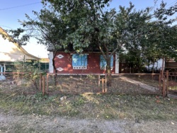 ���� ���� 6