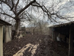 ������� � ���������� ���� 6