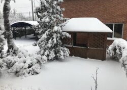 ������ ������� ������� ���� 29