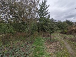 Продається одноповерховий будинок з великою земельною ділянкою! фото 17 Продається одноповерховий будинок з великою земельною ділянкою! фото 17