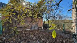 Продаж 2 поверхової дачі в с. Березина фото 16 Продаж 2 поверхової дачі в с. Березина фото 16