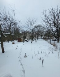 Продаж 2 поверхового будинку з ділянкою на 50 соток фото 5 Продаж 2 поверхового будинку з ділянкою на 50 соток фото 5