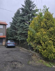 ��������� ������� ����� ������, 8�, ³�����, ³�������, ���������, ����-����������� ���� 20