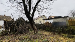 ��������� ������� ³�������, ³�����, �����������, �����, �������� ���� 1