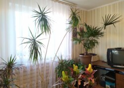 Продаж 1 поверхового будинку з верандою і ділянкою на 10 соток, 156 кв. м, 4 кімнати, на вул. Євгена Чикаленка фото 57 Продаж 1 поверхового будинку з верандою і ділянкою на 10 соток, 156 кв. м, 4 кімнати, на вул. Євгена Чикаленка фото 57