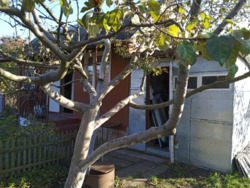 ��������� ������� ³�����, ³�������, ���������, ³������ ������ ���� 5