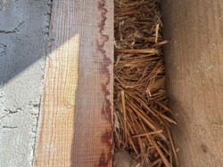 ����� ���-������� �� �����*���� ������� � �. ������������, �������� ����������! ���� 23