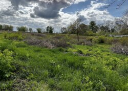 ������ ������� � ��� �������, �� 15 �� ���� �� ���� �� ���� ³����� ���� 15