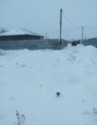 ������ 1 ����������� ������� � ������� �� 7 �����, 78 ��. �, 3 ������, �� ���. ������������� ���� 1