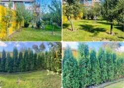 ������ 1 ����������� ��������� ���� 29