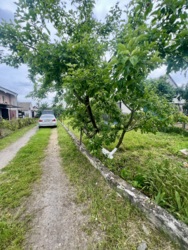 Будинок на великій ділянці фото 35 Будинок на великій ділянці фото 35