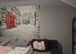 ������ 2 ����������� ������� � ������� �� 4 �����, 100 ��. �, 3 ������, �� ����. ��������� ���� 6