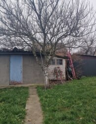 ������ 2 ����������� ������� � ������� �� 4 �����, 100 ��. �, 3 ������, �� ����. ��������� ���� 11