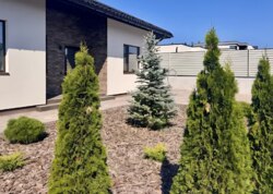 Продаж 1 поверхового будинку з ділянкою на 0.472 соток фото 4 Продаж 1 поверхового будинку з ділянкою на 0.472 соток фото 4