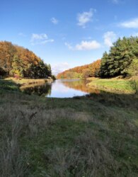 Продається будинок у Щітках фото 44 Продається будинок у Щітках фото 44