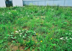 ������ 2 ����������� ������� � ������� �� 5 ����� ���� 19