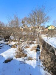 ������ ������� � ������ ������. ������� ��������, � ��������� �������. ���� 15