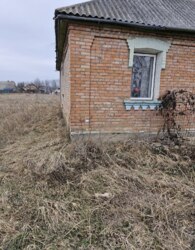 ������ ������� ������� ���� 7