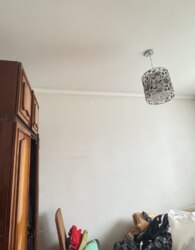 Продаж 1 поверхового будинку з верандою і ділянкою на 4.17 сотки фото 13 Продаж 1 поверхового будинку з верандою і ділянкою на 4.17 сотки фото 13