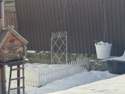 ��������� ������� ���������, �����, ����������, ³������� ���� 16