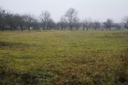������ �������������� ������� � ������� ���� 1