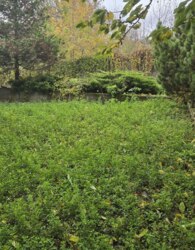 ��������� ������� ����� ������, 8�, ³�����, ³�������, ���������, ����-����������� ���� 2