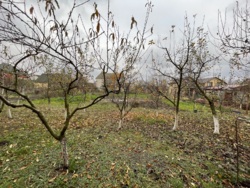 ������� �������, ³������ ������, ���.���������� ���� 30