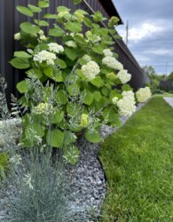 Продаж 2 поверхового дуплекса з ділянкою на 3.7 сотки фото 32 Продаж 2 поверхового дуплекса з ділянкою на 3.7 сотки фото 32