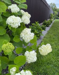 ������ 2 ����������� �������� � ������� �� 4.5 ����� ���� 26