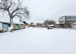 ������ ������� ������� ���� 19