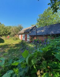 ��������� ������� �������� ��� �������, ³�����, ³�������, ���������, ����-����������� ���� 5