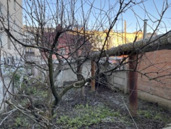 ������� ������ ����������� ���� 37