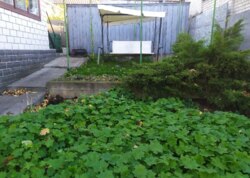 Продаж 1 поверхового будинку з верандою і ділянкою на 10 соток, 156 кв. м, 4 кімнати, на вул. Євгена Чикаленка фото 22 Продаж 1 поверхового будинку з верандою і ділянкою на 10 соток, 156 кв. м, 4 кімнати, на вул. Євгена Чикаленка фото 22