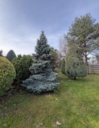 ������ 2 ����������� ������� � �������� � ������� �� 20 ����� ���� 7