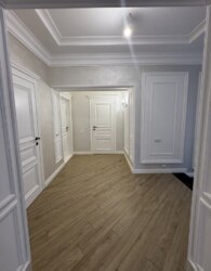  2        10 , 250 . , 10   29