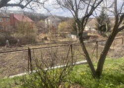 ��������� ������� �����, ³�����, ³�������, �����������, ����� ���� ���� 19