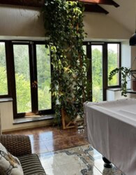 ��������� ������� � ��������� ���� 24