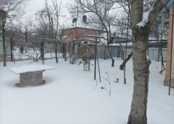 ������ 2 ����������� ������� � �������� � ������� �� 9 ����� ���� 23